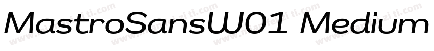 MastroSansW01 Medium Regular字体转换